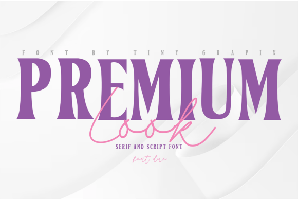 Elevate Campaigns with Premium Look Duo Typeface