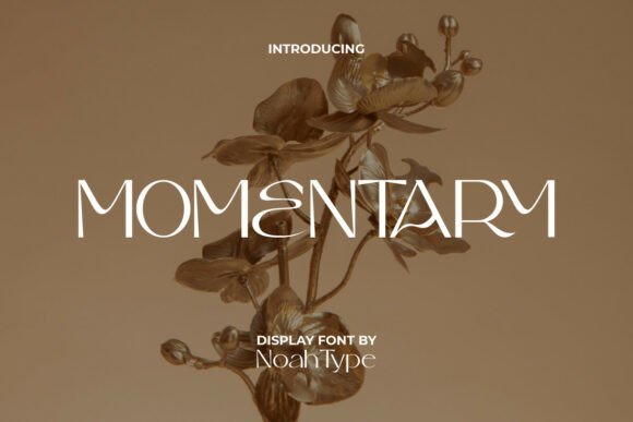 Momentary Font Review: Ethereal Elegance for Modern Brands